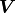 \bm V