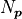N_{\bm{p}}