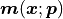 \bm{m}(\bm{x}; \bm{p})